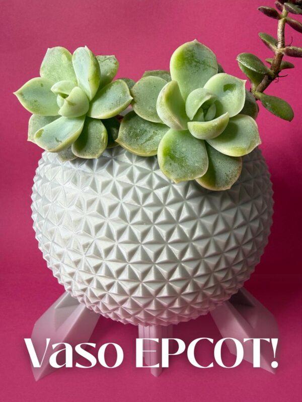 Vaso Epcot